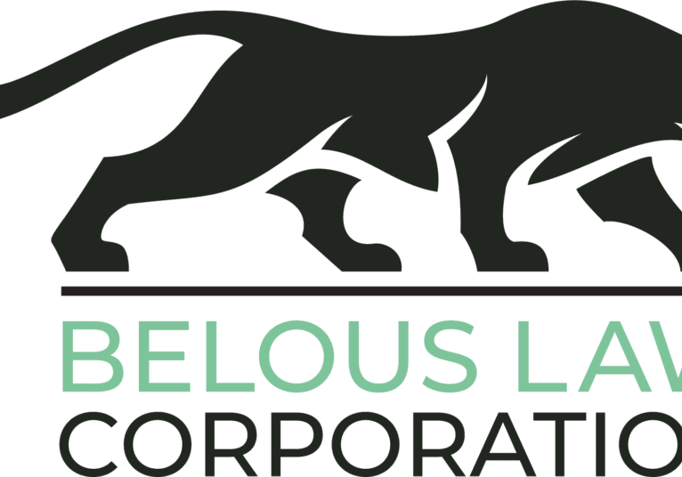 A green logo with a black cat and the words " fabulous leopard corporation ".